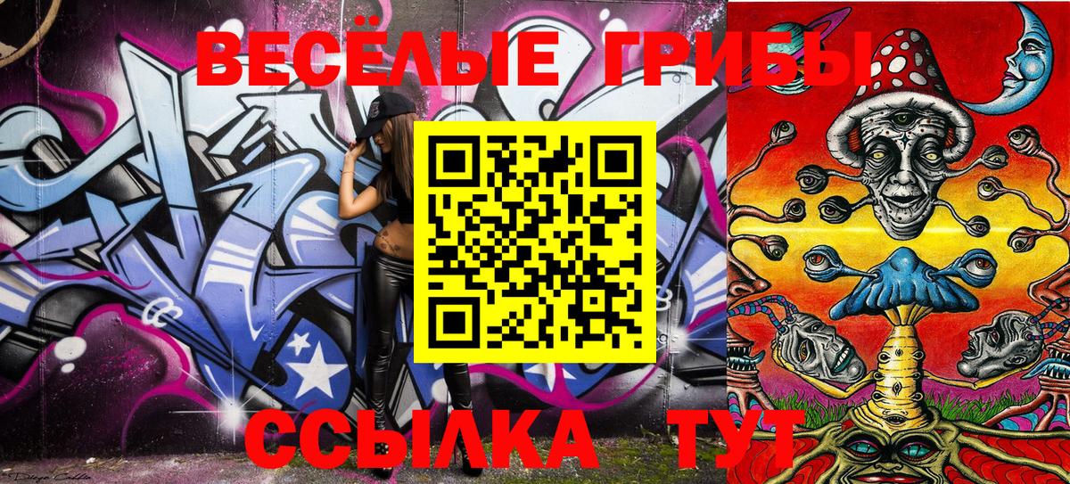 Псилоцибиновые грибы Psilocybe  Вход с VPN  где купить наркоту  Иваново 